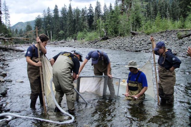 A crew of five WCC members stand in a shallow river while wearing waterproof overall and holding various netting tools.