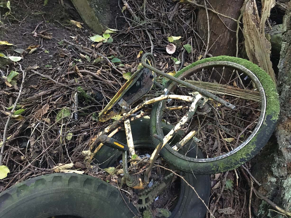 Moss-covered broken bike frame and old car tires in leaf litter