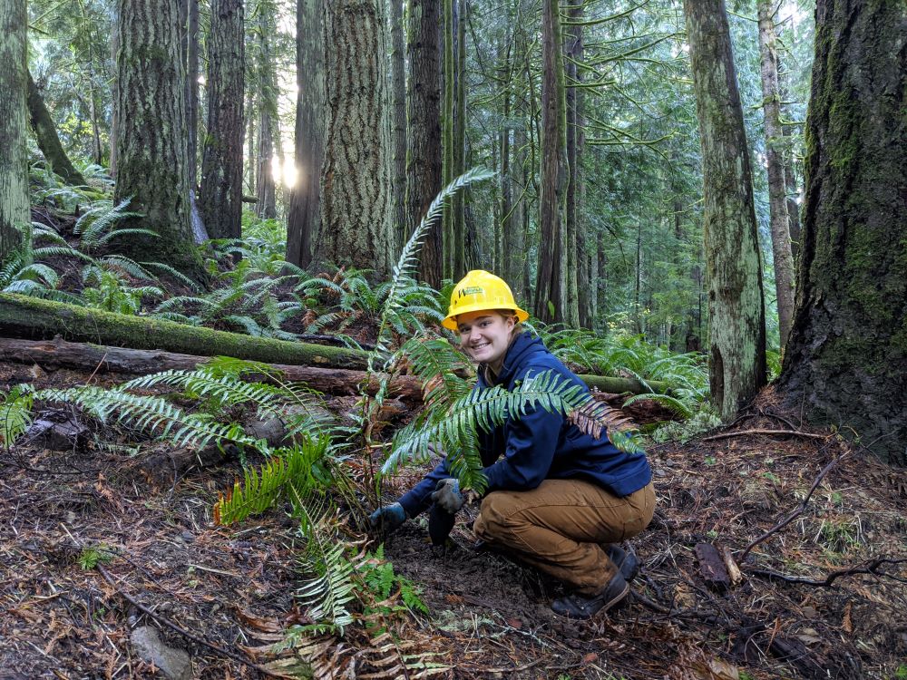 Boots On The Ground: Increasing Equity In Washington Conservation Corps ...