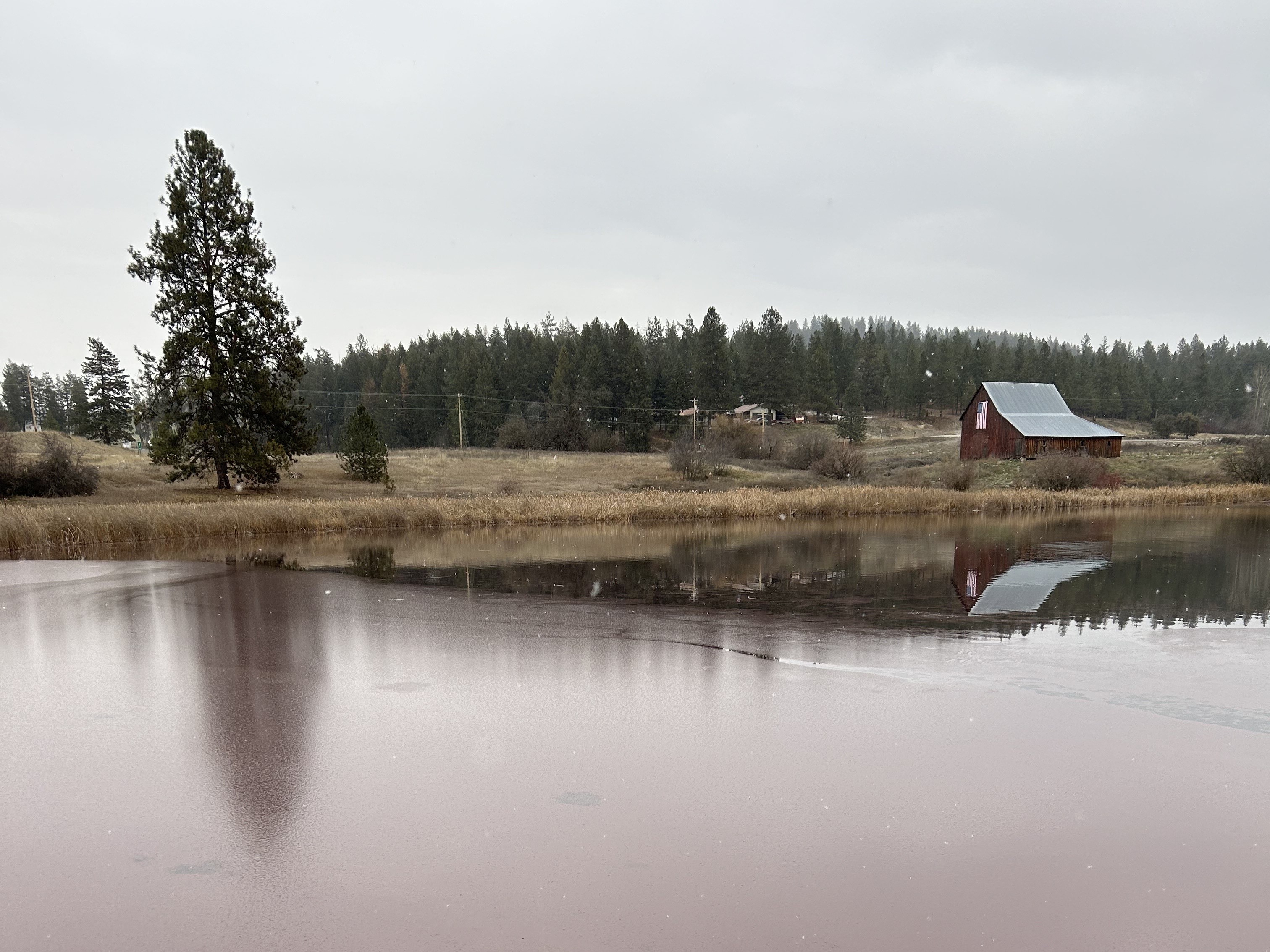 Changing Weather, Changing Water – It's Time To Look Out For Harmful ...