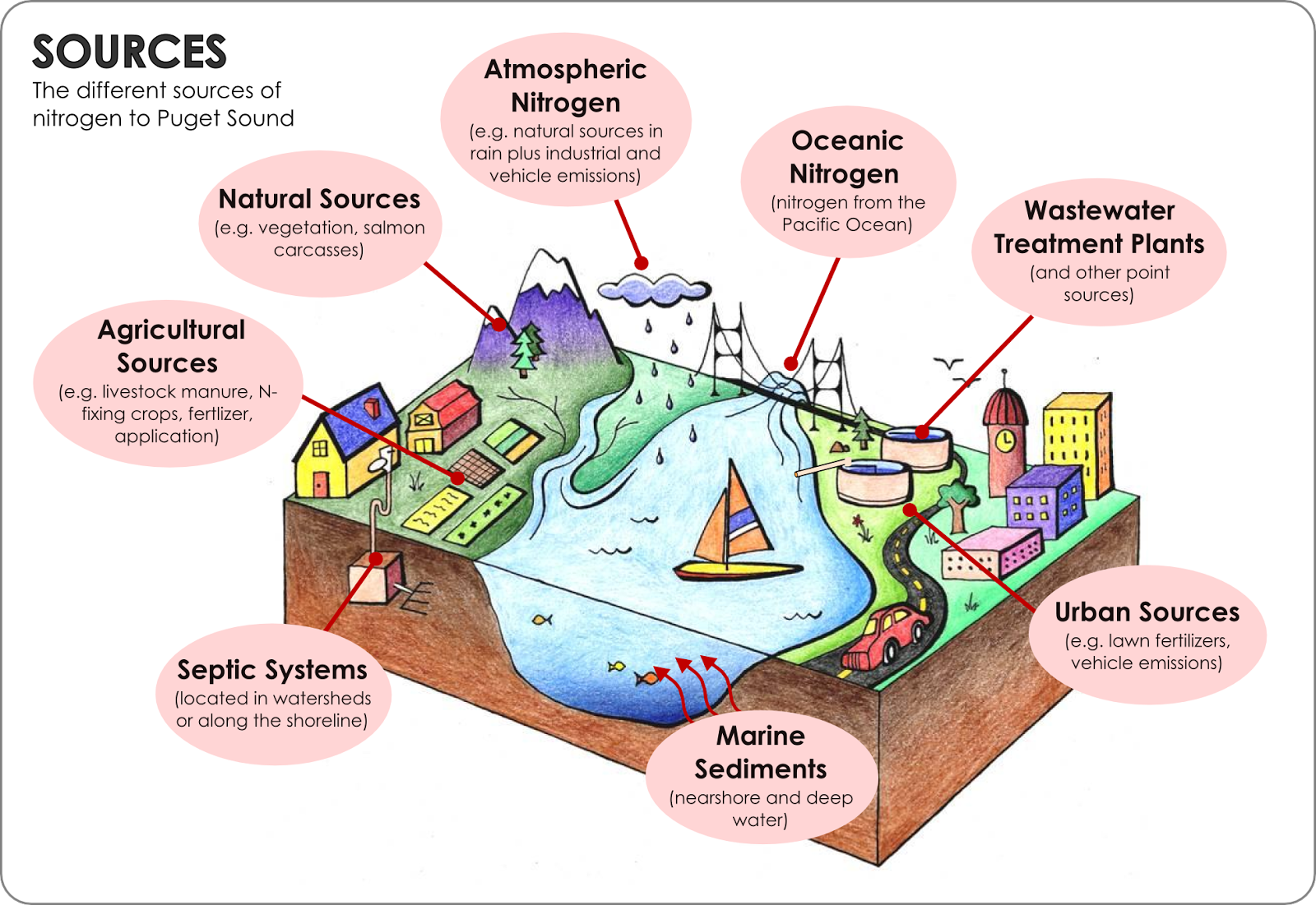 Sources illustrated: Nature, Atmosphere, the Ocean, Wastewater, Urban Sources, Marine Sediments, Septic Systems, and Agriculture.