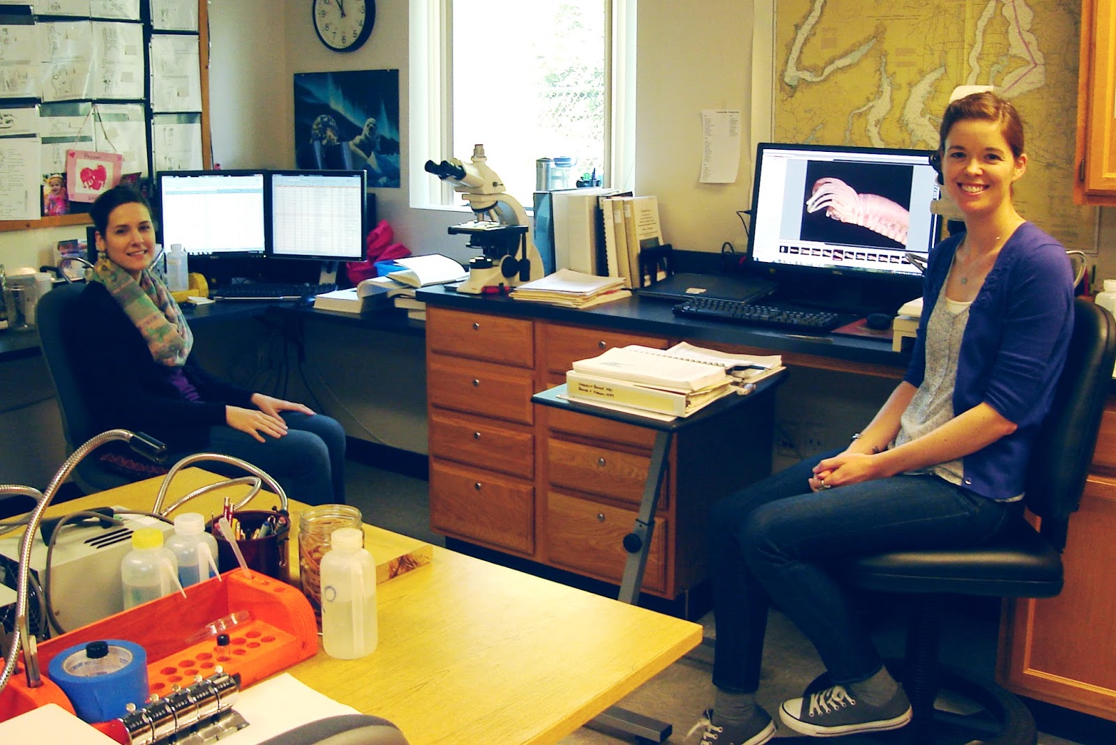 Two scientists sit beside desk in benthic lab with invertebrate image on computer screen. 