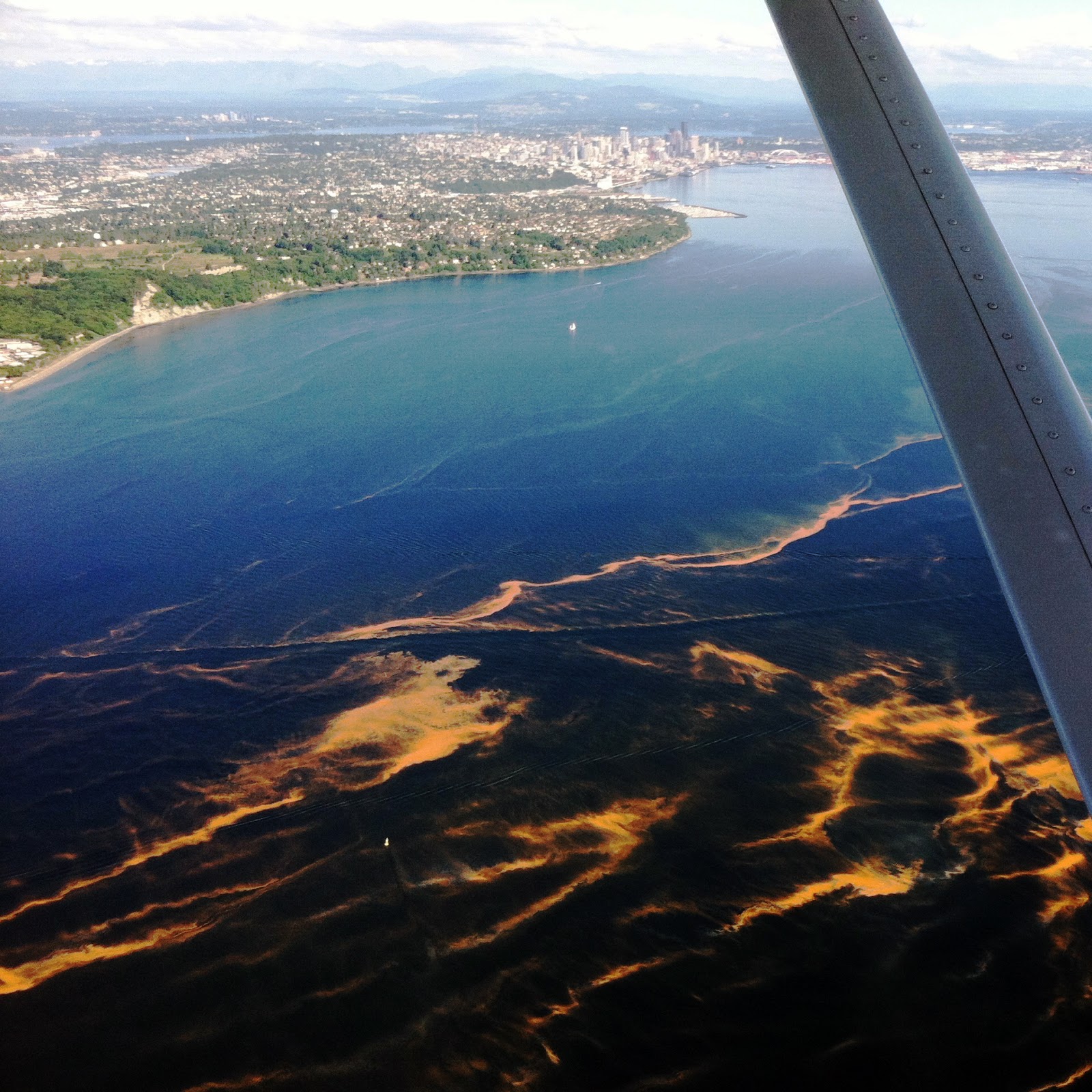 Dark water from above, streaked with bright orange algae. 