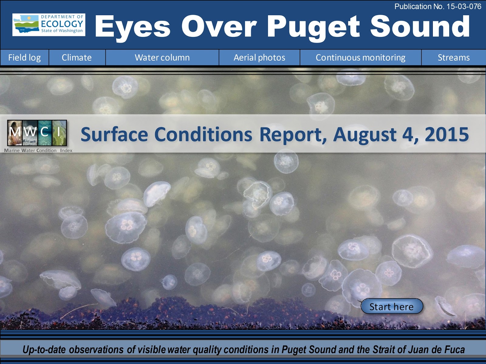 Front cover of Eyes Over Puget Sound shows many, many jellyfish swimming, viewed from underwater.
