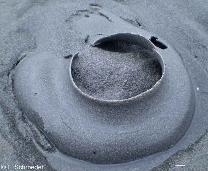 Built of sand, it looks like the top of a broken clay pot or a stovepipe