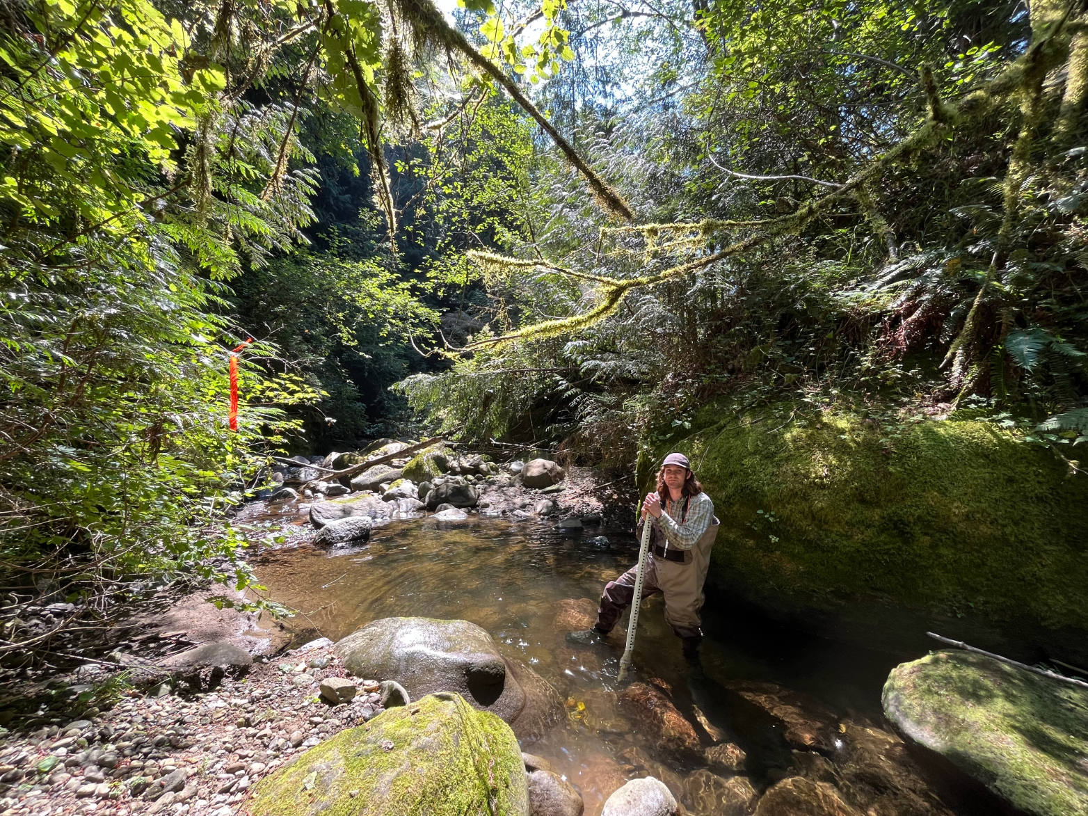 Like streams and science? Join us for a summer job! - Washington State Department of Ecology