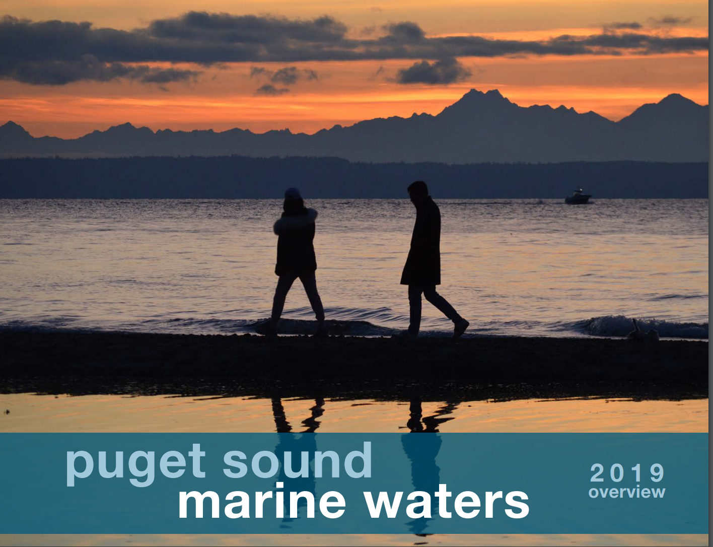 New Report Details Ocean Acidification In Greater Puget Sound ...