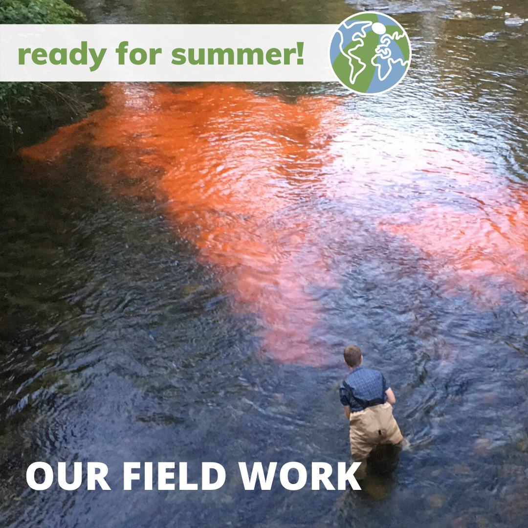 Orange dye spreads into a river, released by two workers. Titles read, our field work, ready for summer.