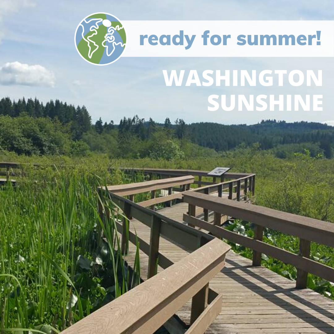 A boardwalk over a large wetland. Titles read, ready for summer, washington sunshine