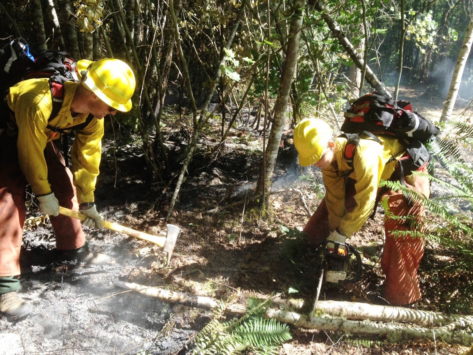 Two WCC AmeriCorps members wearing yellow hard hats use hand tools to clear trail near recently burned ground.