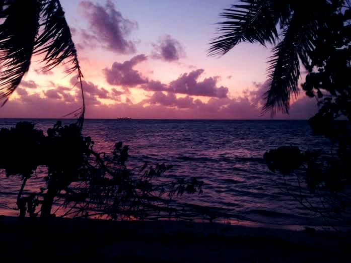 A beach sunset features purples and dark pinks in the sky, with palm trees silhouetted on the left and right.