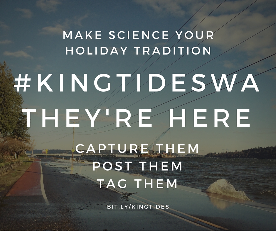 MAKE SCIENCE YOUR HOLIDAY TRADITION #KINGTIDESWA THEY’RE HERE text over picture of water coming up over roadway.