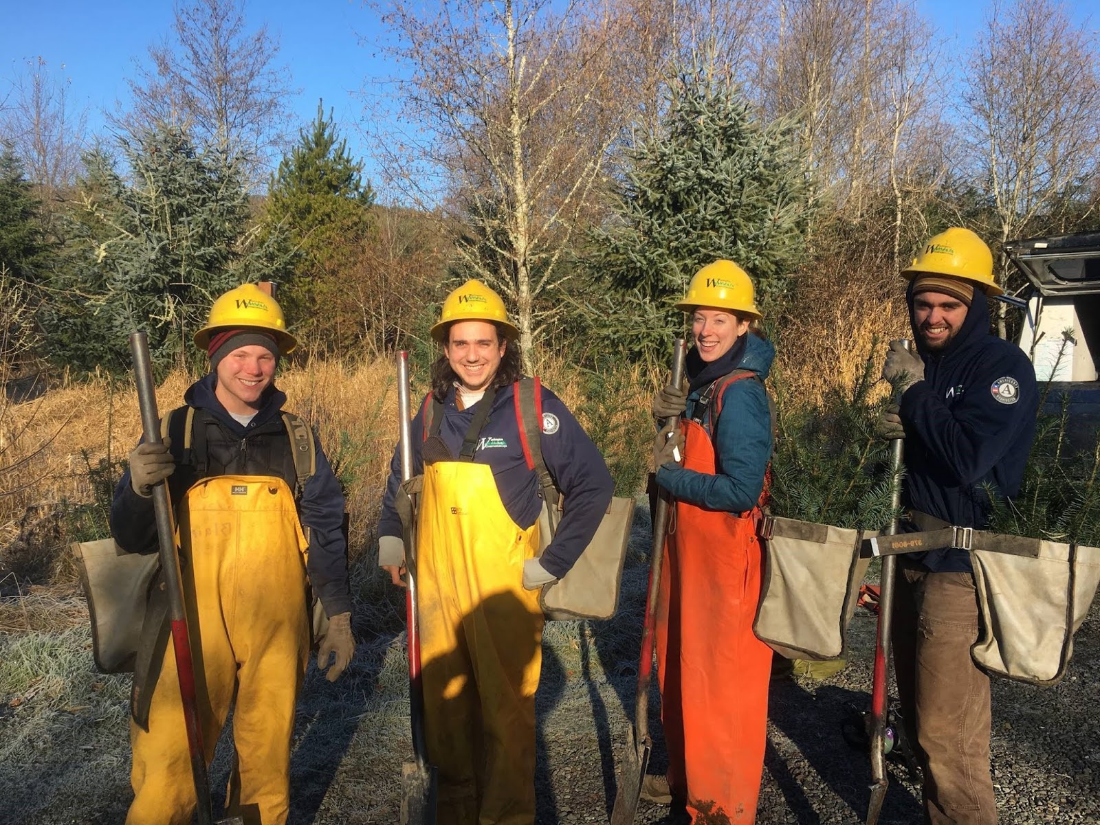 Four AmeriCorps members wear yellow hard hats and carry shovels and canvas planting bags.