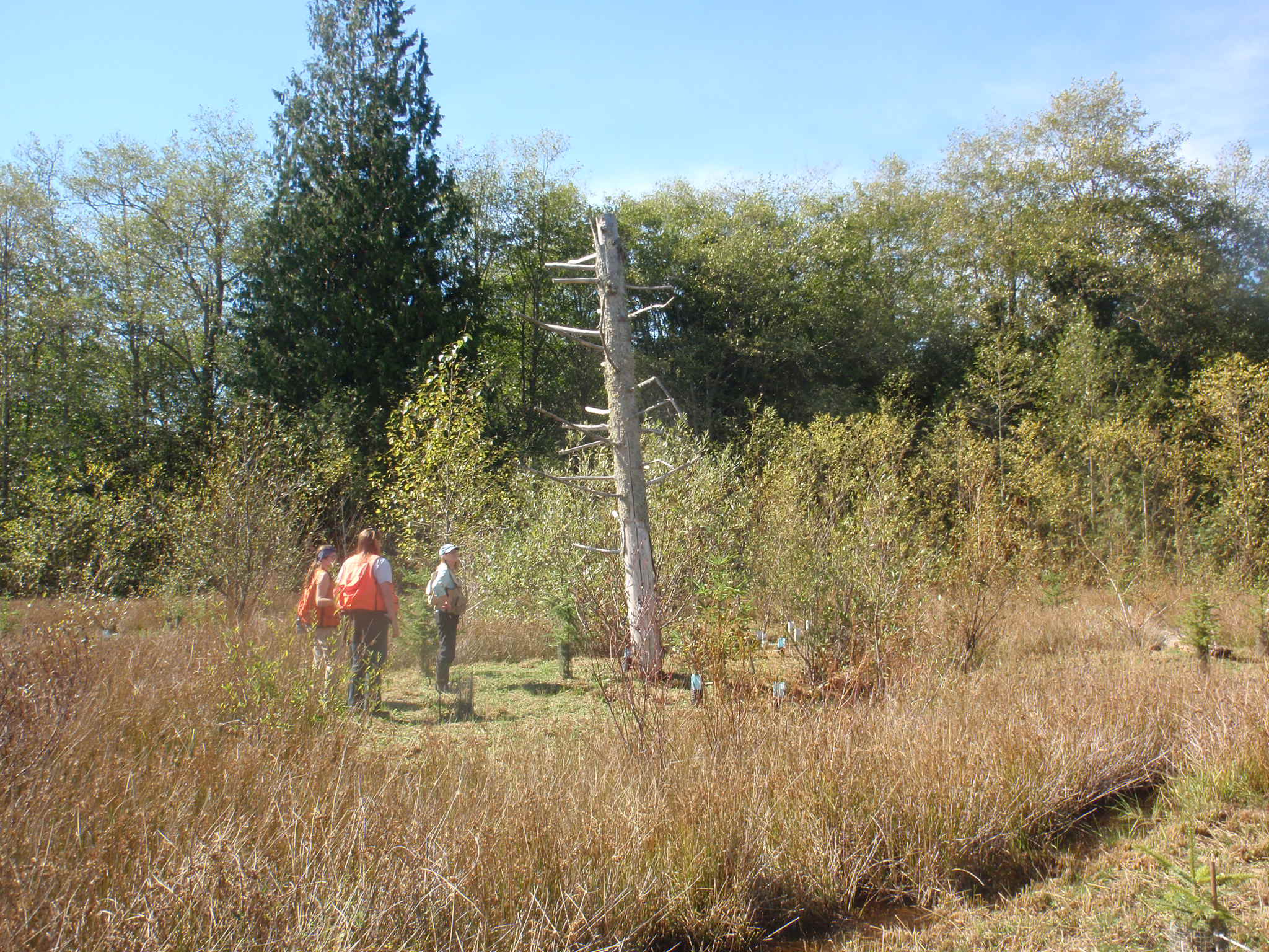 for-american-wetlands-month-updated-guidance-furthers-washington-s-no