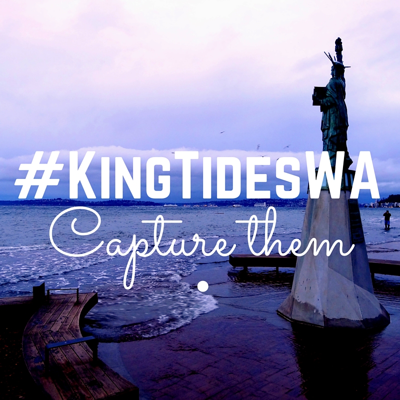 #KingTidesWA Capture them text over photo of small Liberty statue on Alki Beach 
