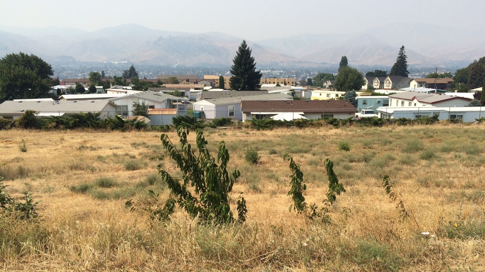 A view from 9th Street Park of the Wenatchee valley and a neighboring manufactured home park