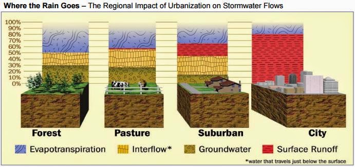 graphic showing where rain goes in forests, pastures, suburbia and cities.