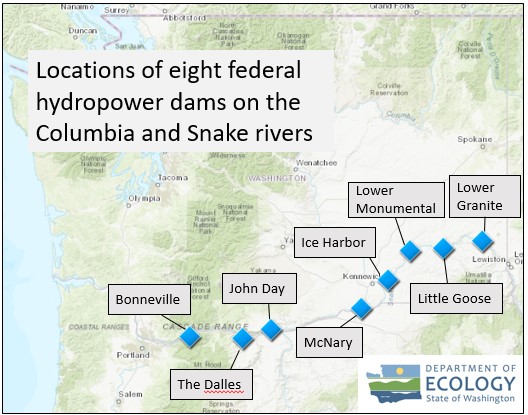 Understanding The Environmental Impacts Of More Water Over The Dam ...