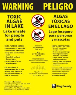 Harmful algae bloom warning sign showing water body isn't safe for people or pets. Spanish language included.