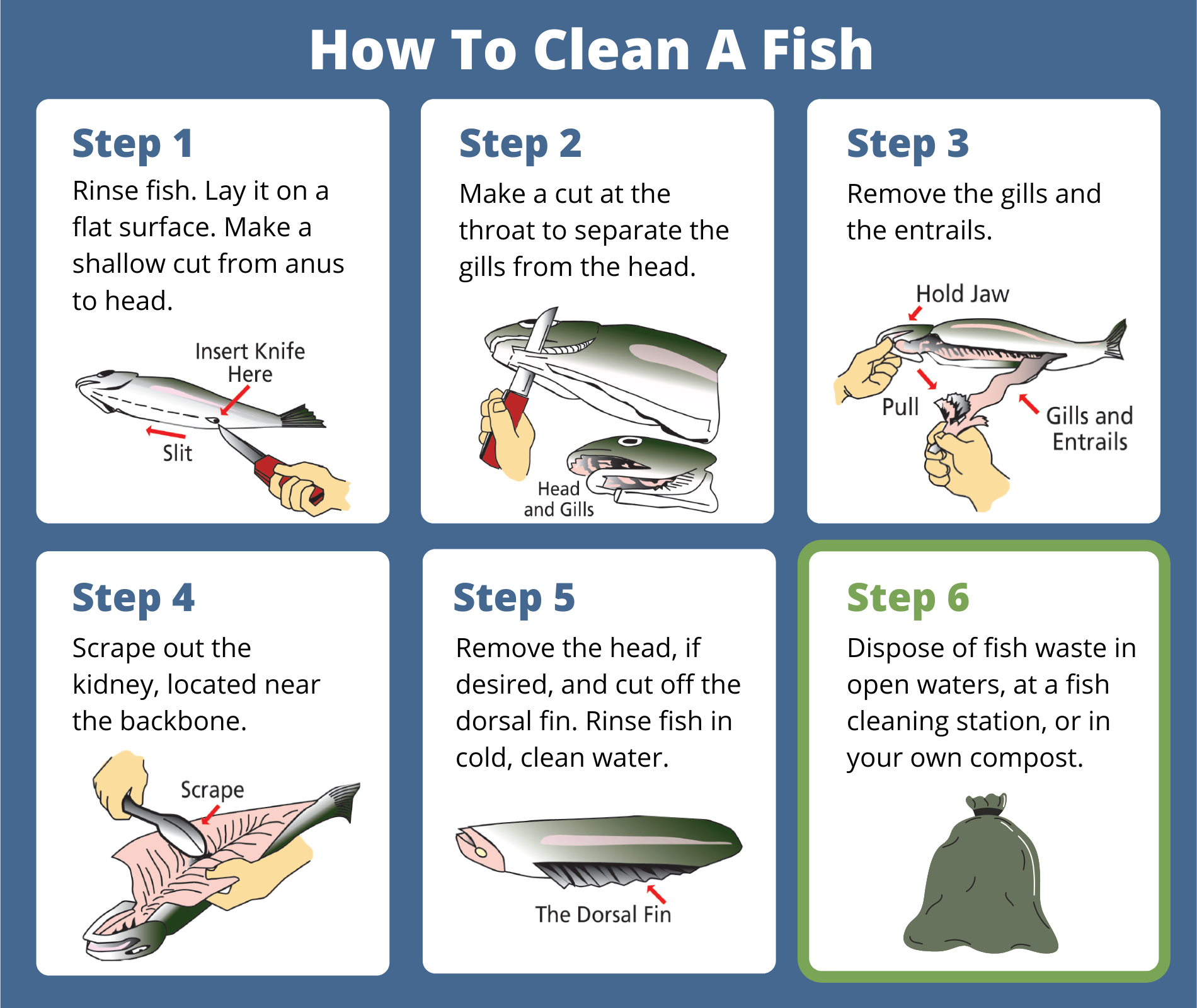 Proper fish waste disposal matters for marinas - Washington State  Department of Ecology