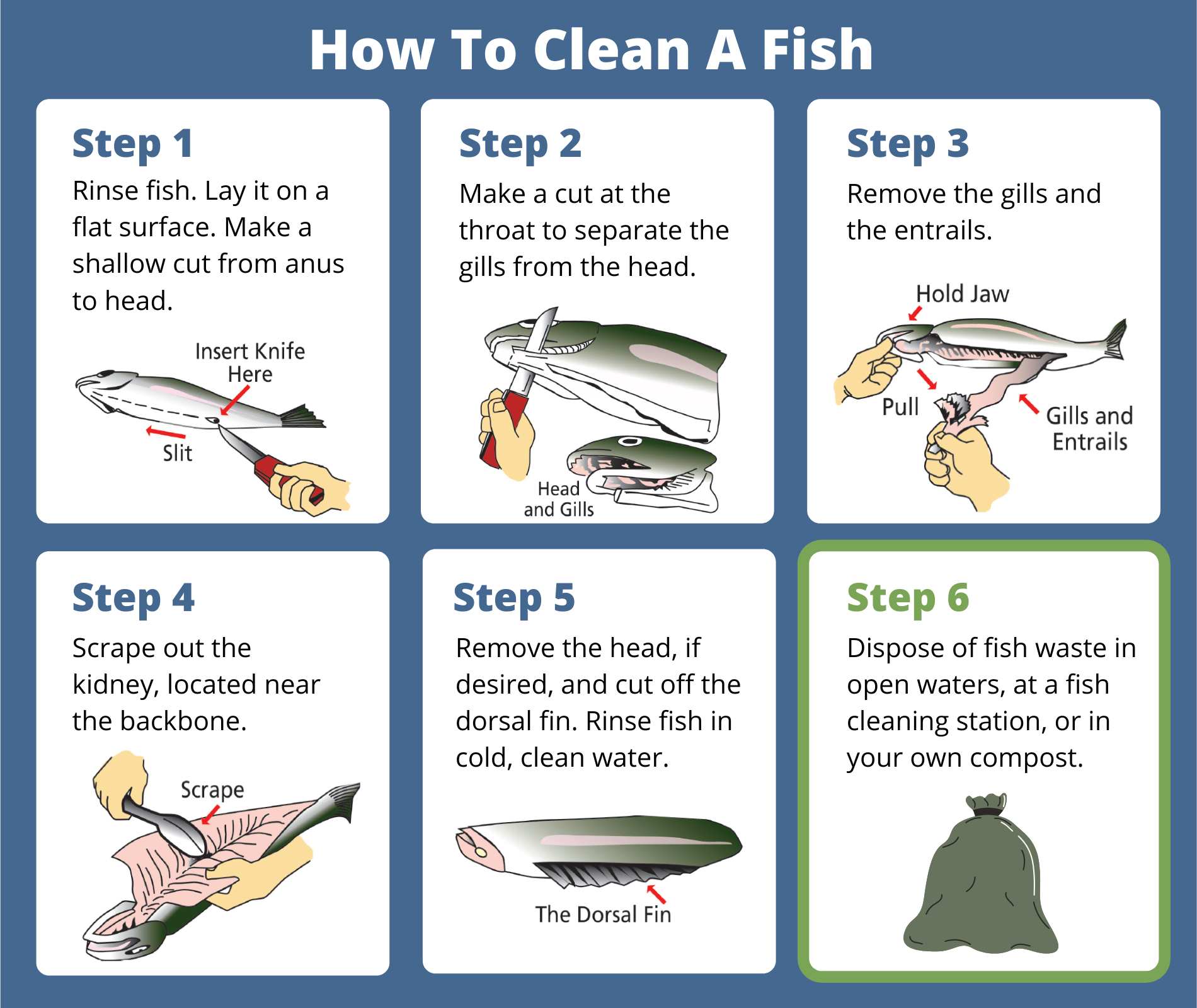 Proper fish waste disposal matters for marinas - Washington State