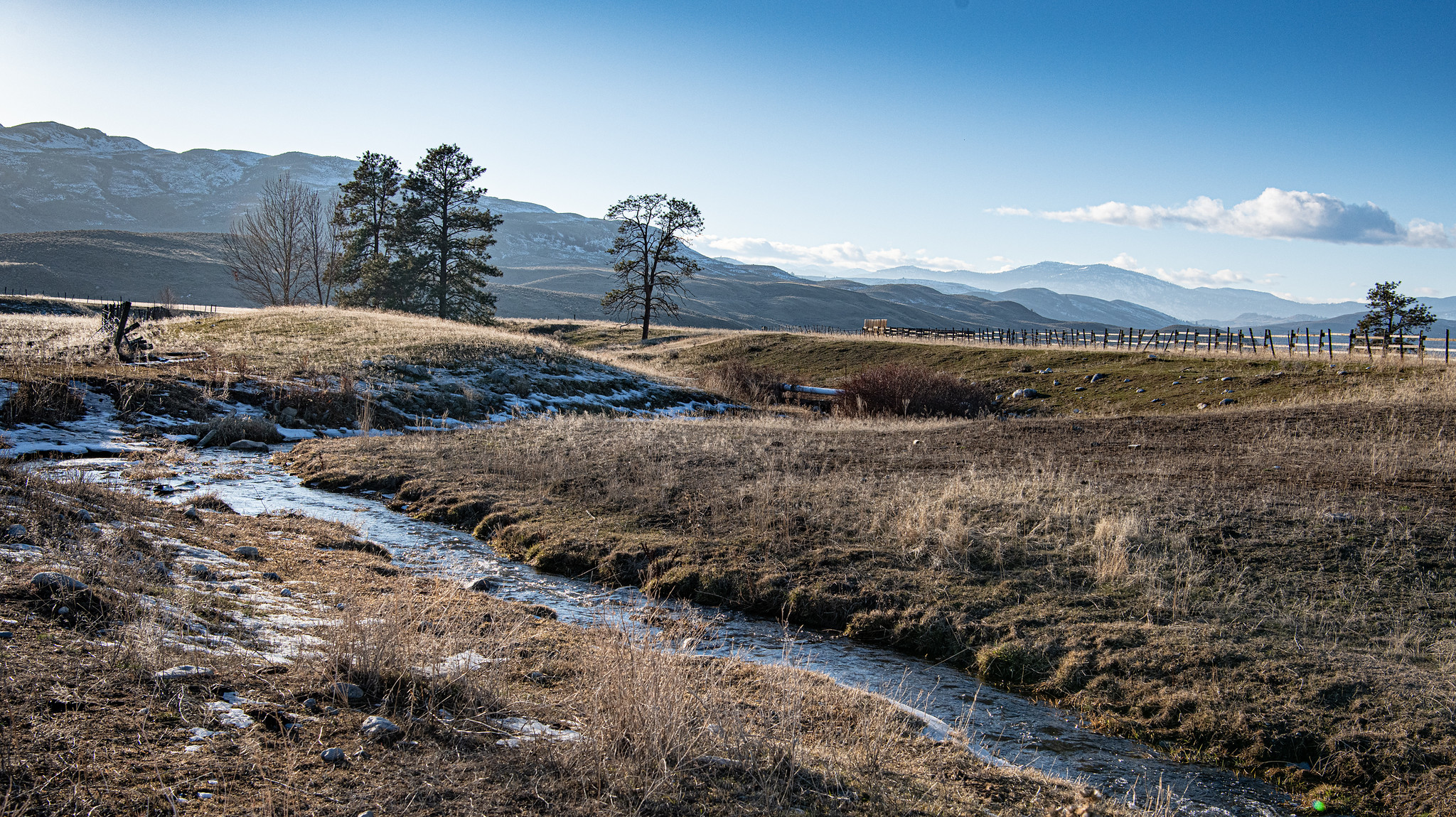 Wintery view of grasslands and Antoine Creek, a tributary of the Okanogan River, with mountains in the background.