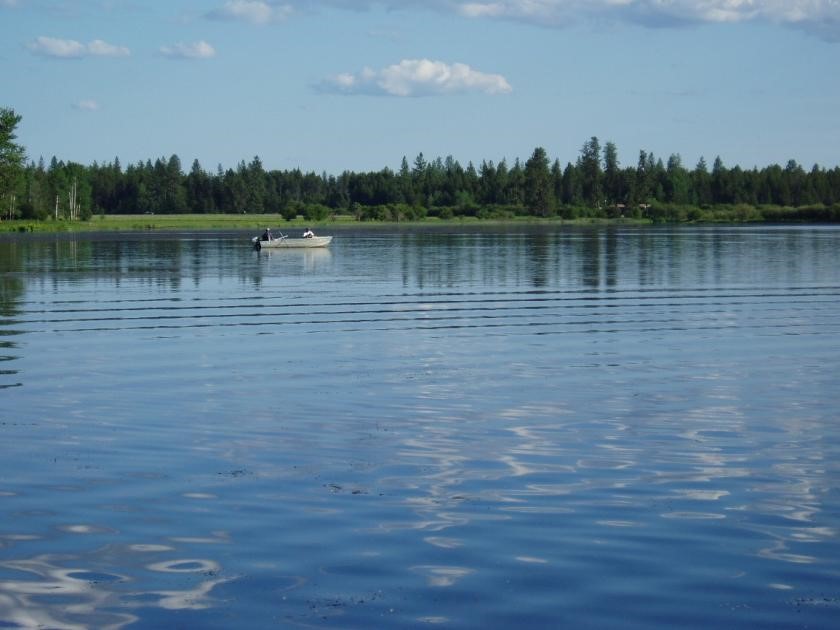 Small boat sitting on a lake with the shoreline in the background