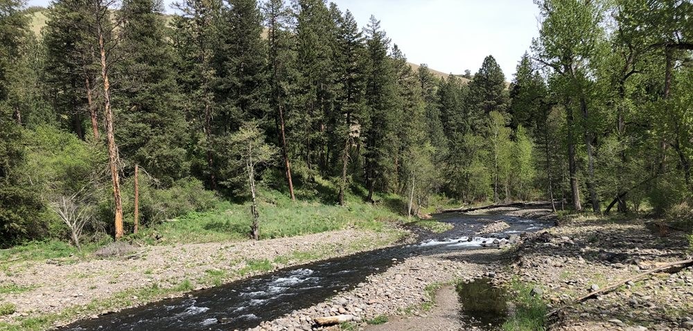 Oregon and Washington support Walla Walla basin water projects