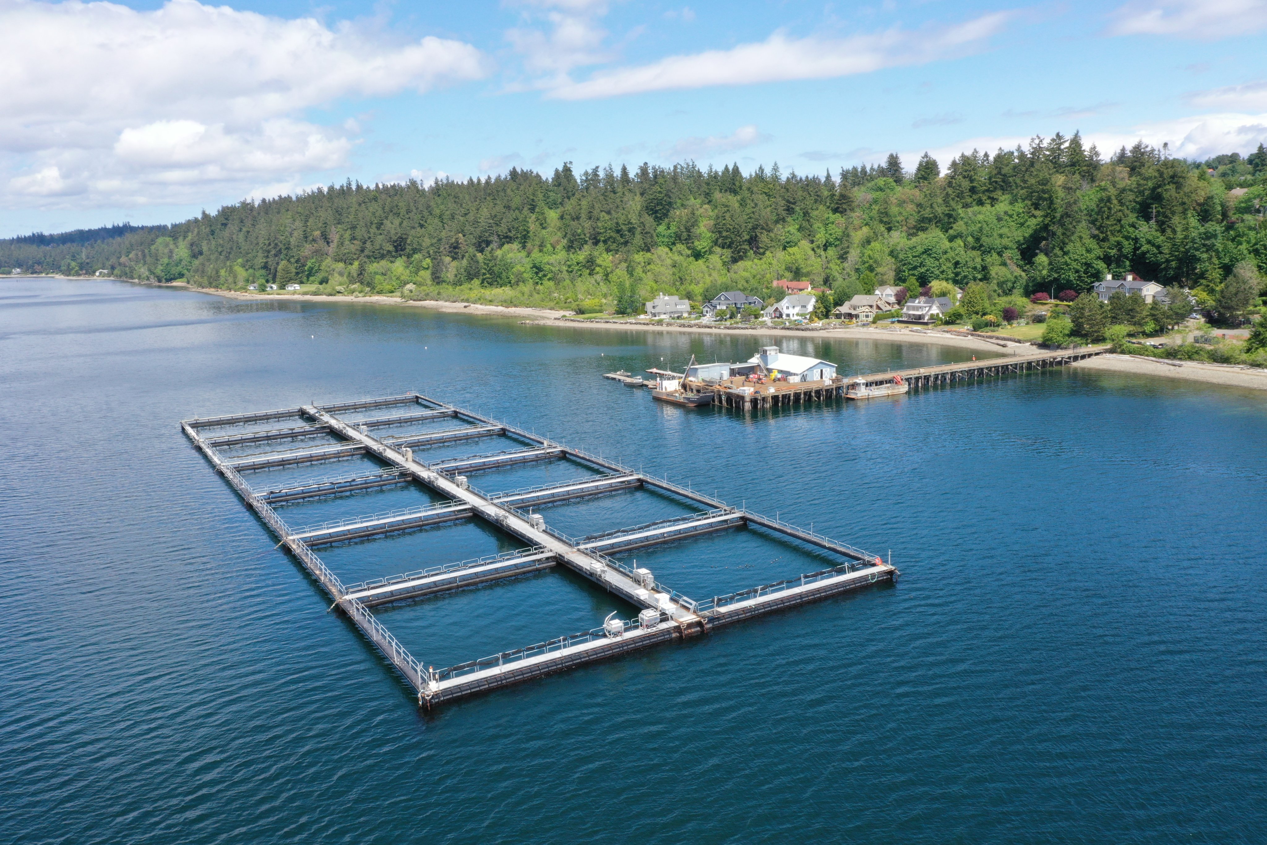 A floating dock in Rich Passage that holds net pens.
