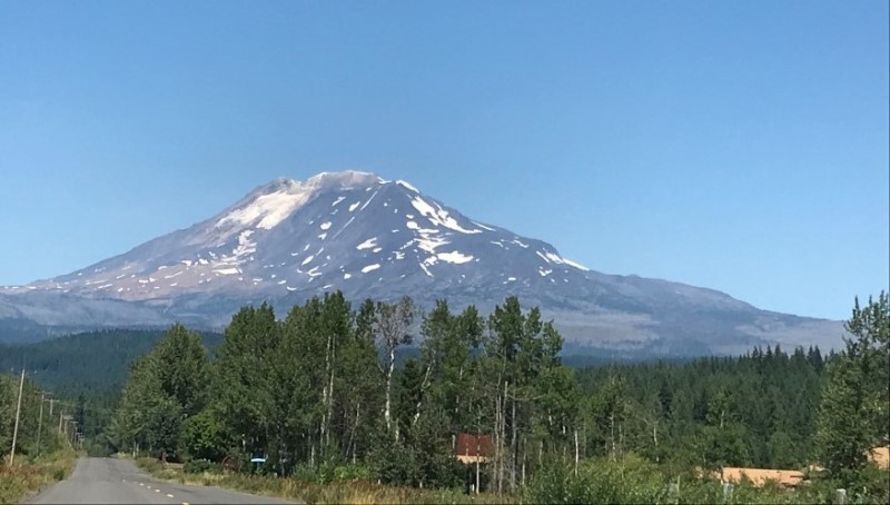 Ashy colored stratovolcano (Mount Adams) with a sparse amount of snow fringed by evergreen trees and a roadway in the foreground