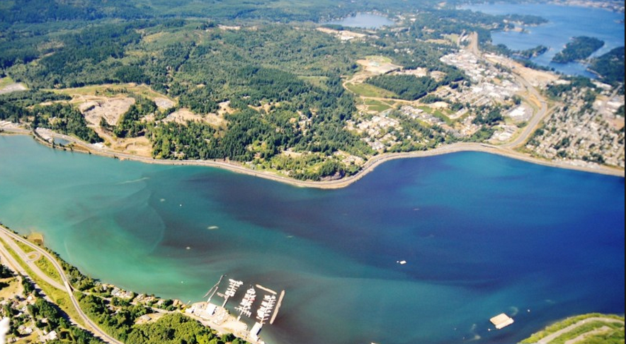 Puget Sound from the air shows a small marina and multicolored waters.