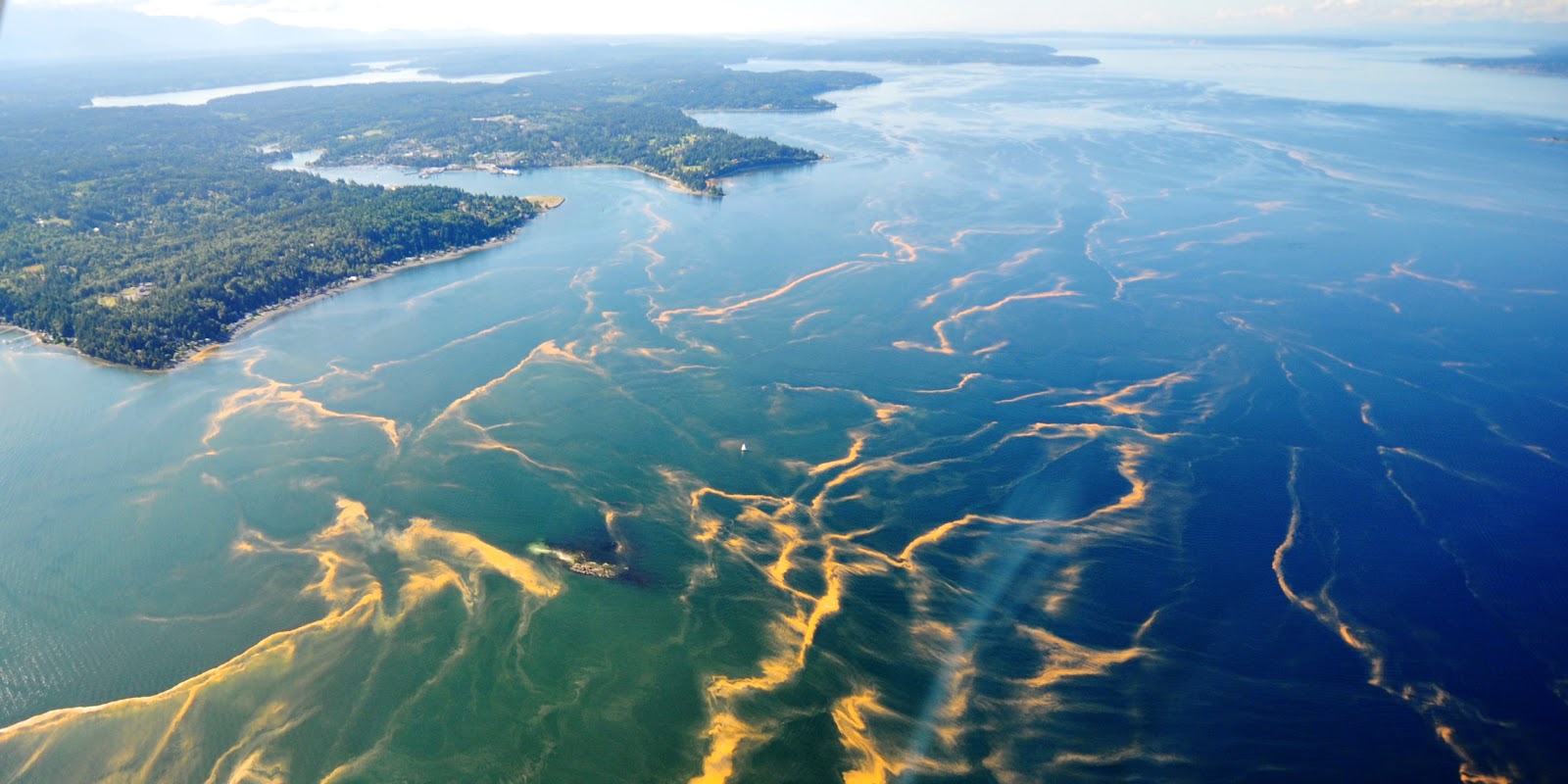 Water from above streaked with bright orange algae. 