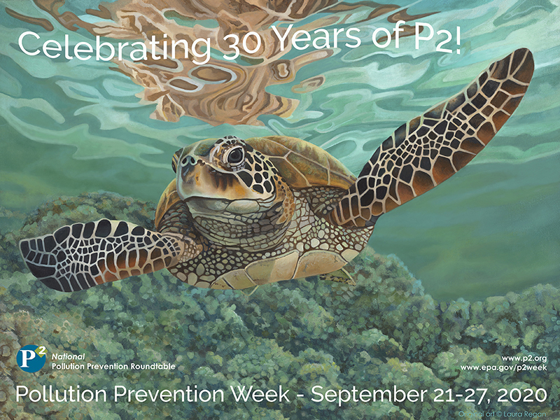 P2 poster image of a sea turtle.