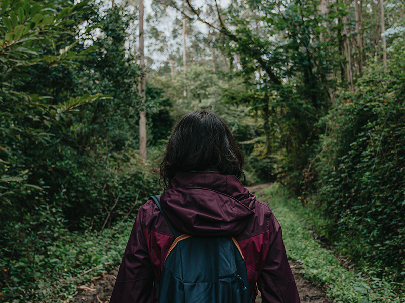 Back of person hiking down a path with backpack through a forest.