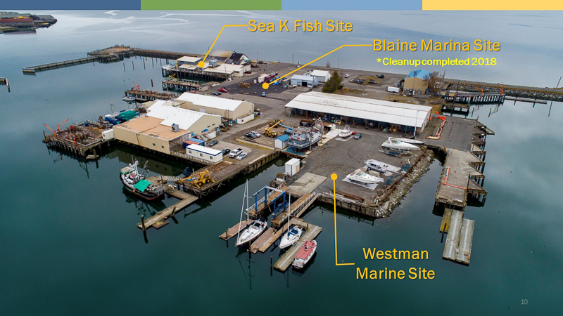 Proper fish waste disposal matters for marinas - Washington State