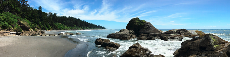 Sea stacks along the Washington coastline
