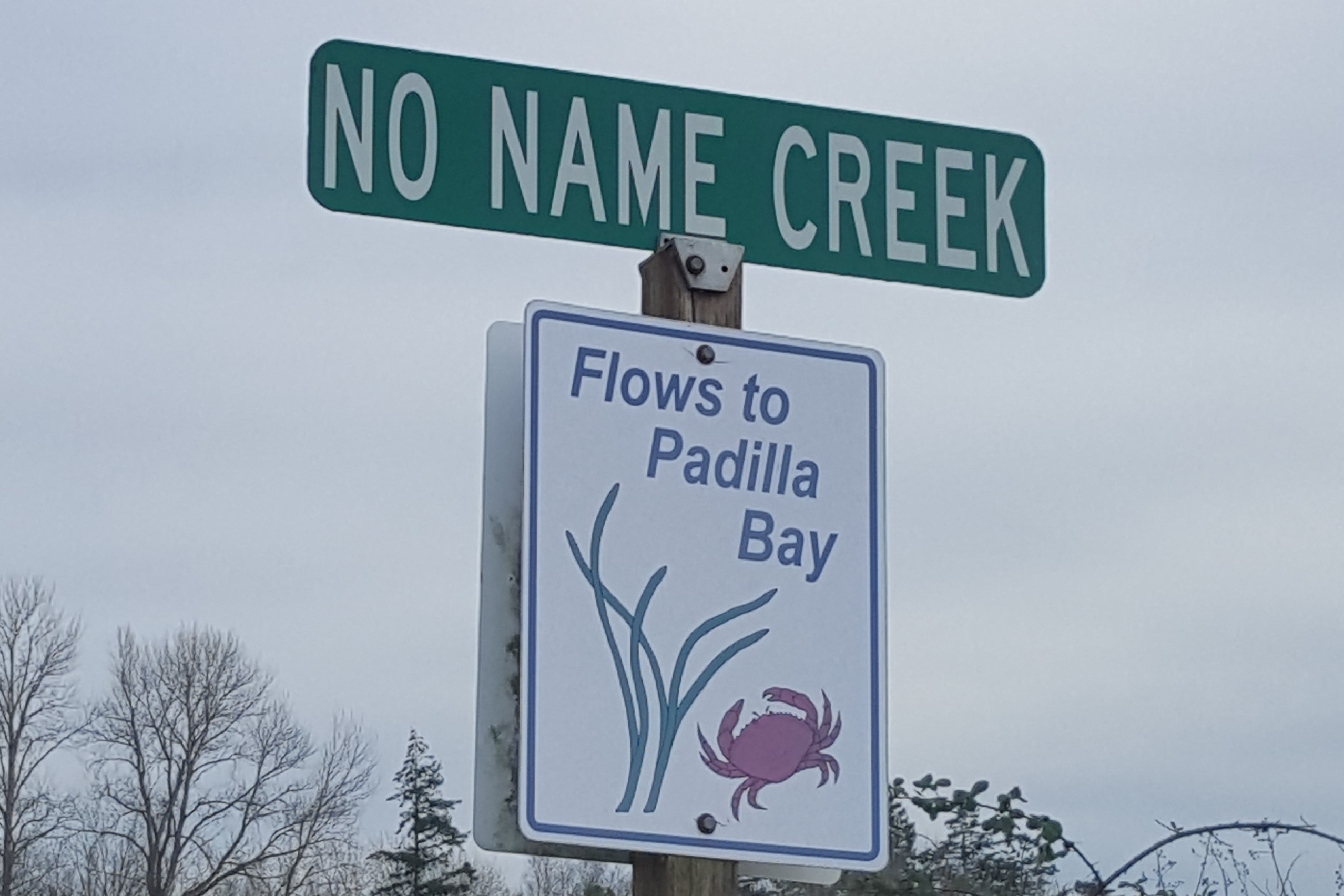 Close-up of a roadside sign that reads, "No Name Creek; Flows to Padilla Bay." Sign also has illustrations of eelgrass and a crab. Trees in the lower background, overcast sky in upper background. 