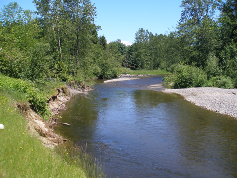A small river flow toward the camera, a cut bank on the left and a gravel beach on the right, with trees along the banks in the background, under a blue sky.