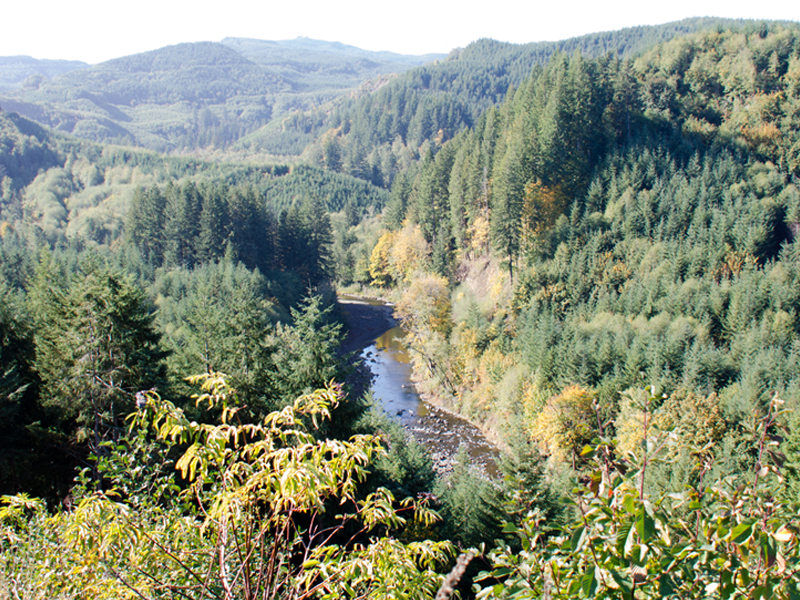 Comment period extended for environmental review of Chehalis flood ...