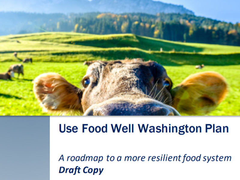 A dairy cow staring intently at a camera. Under it reads: Use Food Well Washington Plan. A roadmap to a more resilient food system. Draft