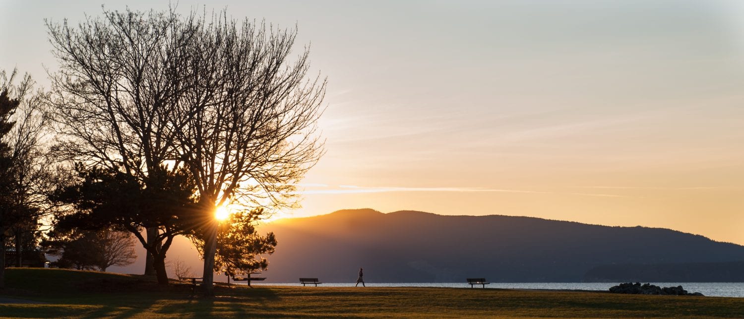Sunset at Boulevard Park with silhouetted trees and Lummi Island in background