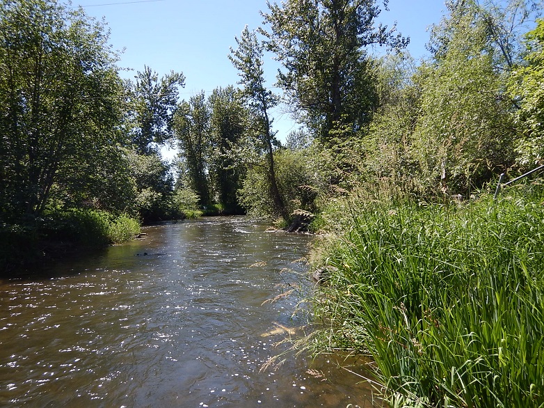 The Little Spokane River