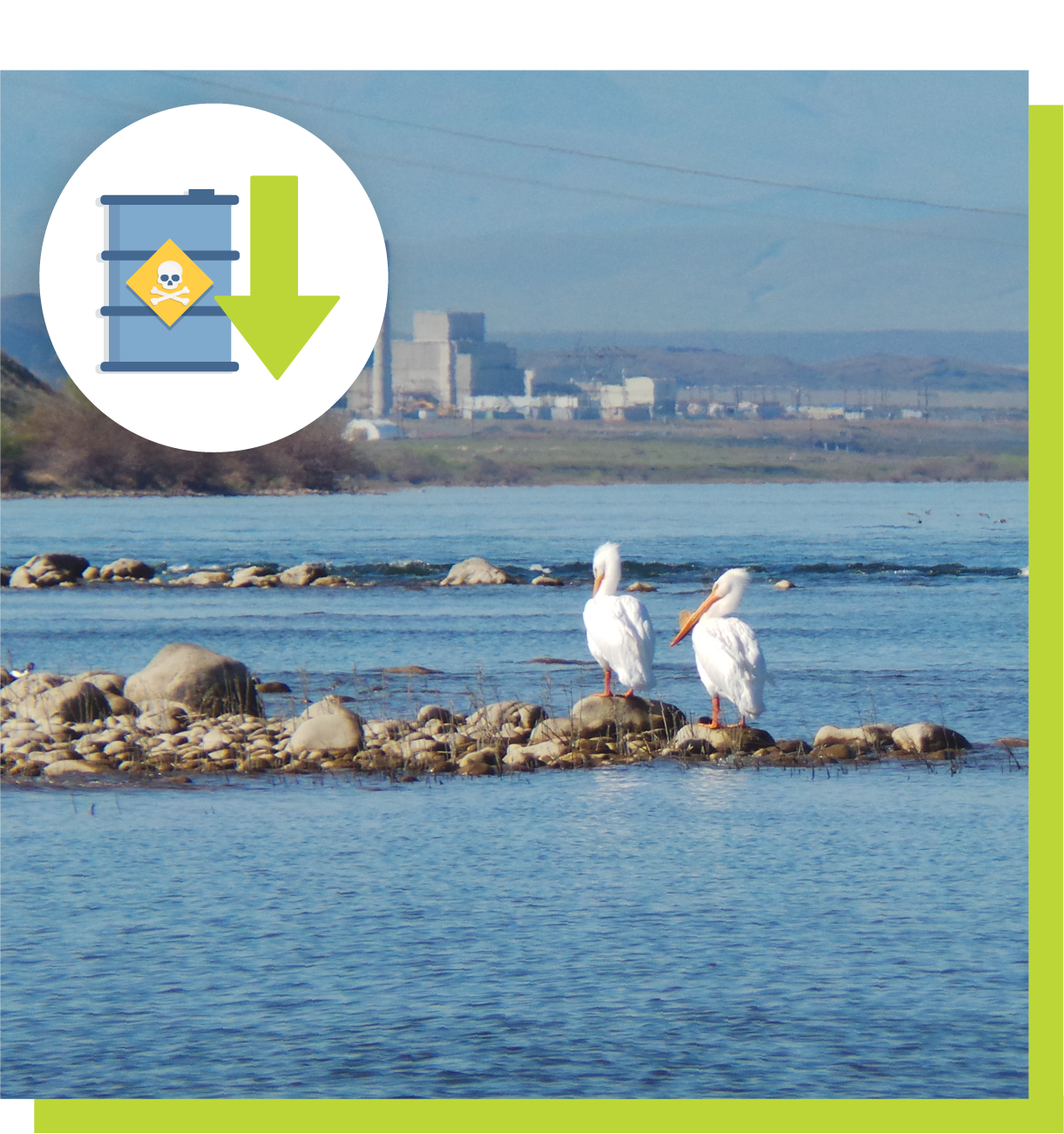 Two pelicans standing the rocky shores of the Columbia River, with the Hanford Nuclear Site in the distance