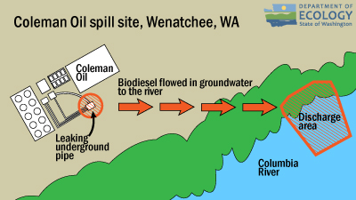 Drawing of the spill site and how the oil flowed in groundwater into the river.