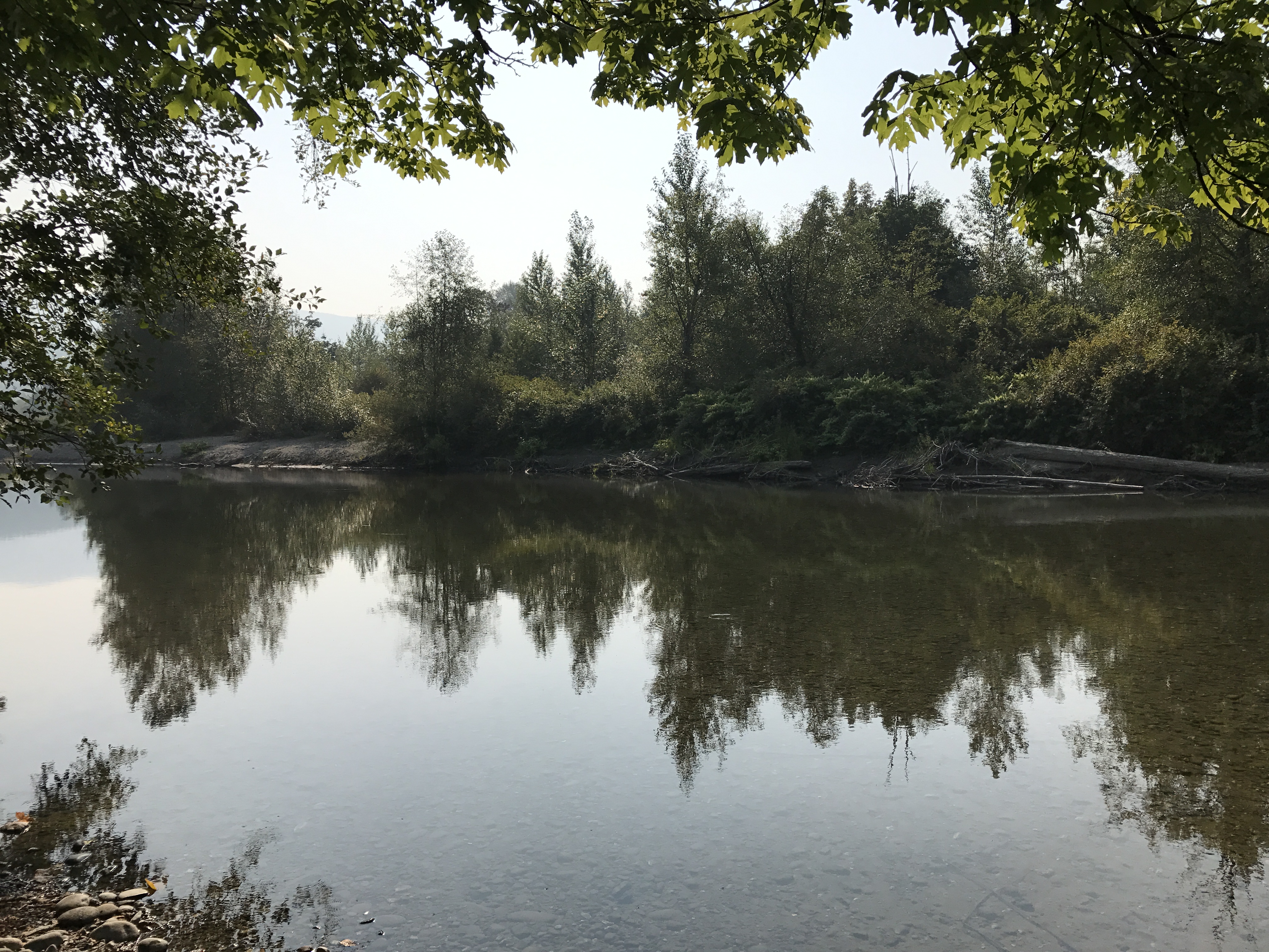 Nooksack River in northwest Washington 