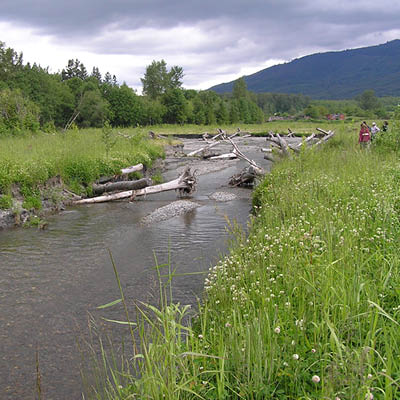 shallow stream running through a meadow, with four people standing on the bank looking at the water
