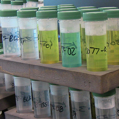 labeled test tubes
