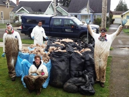 WCC AmeriCorps members pose near garbage bags full of wall insulation collected during a mold treatment operation in Grays Harbor, Washington.