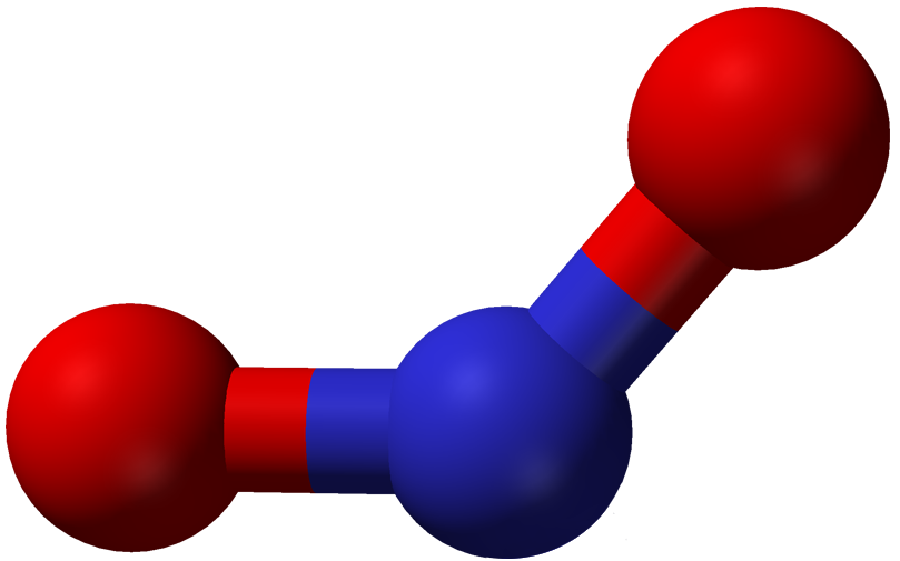 A nitrogen dioxide molecule model, with two red spheres on the ends, a blue sphere in the middle, connected by one line on each side