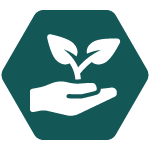 a white icon of a hand holding a sprouting plant on a teal hexagon background